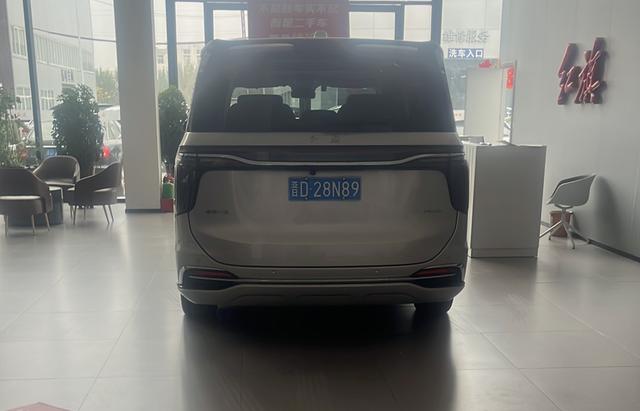 HongQi HQ9 2023 car image #4