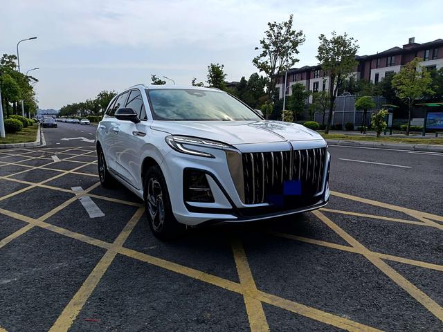 HongQi HS3 2023 immagine di auto #4