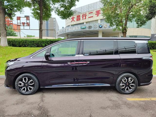 HongQi HQ9 2023 car image #4