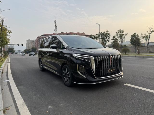 HongQi HQ9 2023 car image #4