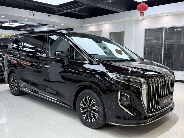 HongQi HQ9 PHEV 2024 immagine di auto #4
