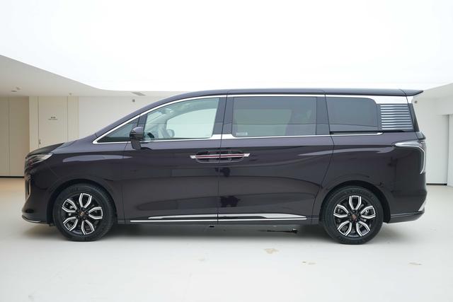 HongQi HQ9 2023 immagine di auto #4