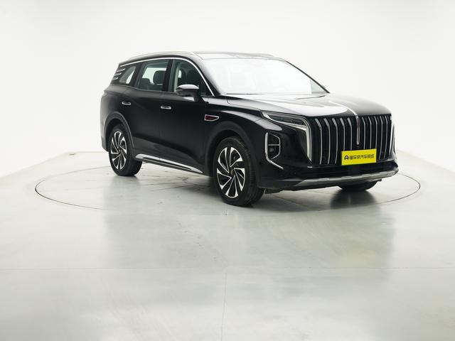 HongQi HS7 PHEV 2024 #4 HongQi HS7 PHEV 2024 car image #4