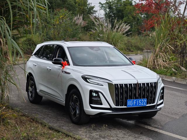 HongQi HS3 2023 car image #4