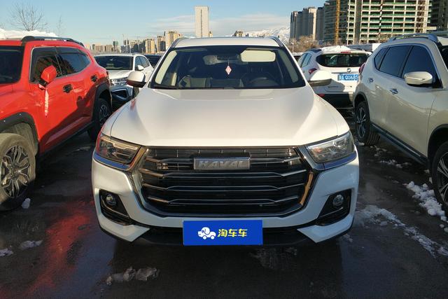 Haval H6 2022 immagine di auto #4