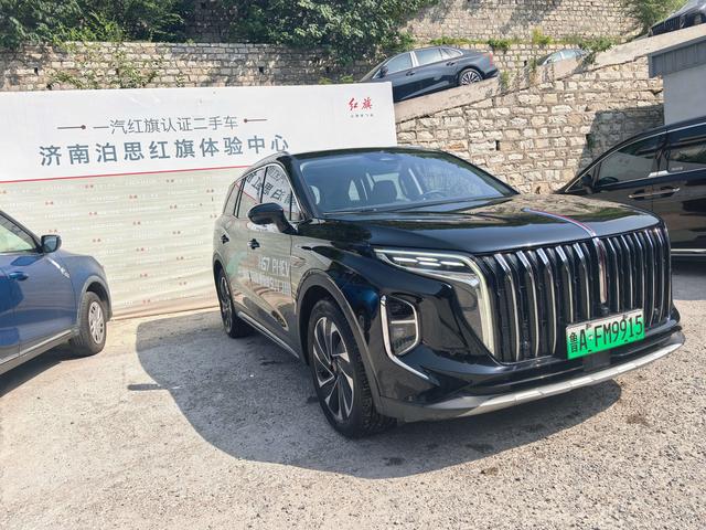 HongQi HS7 PHEV 2024 car image #4
