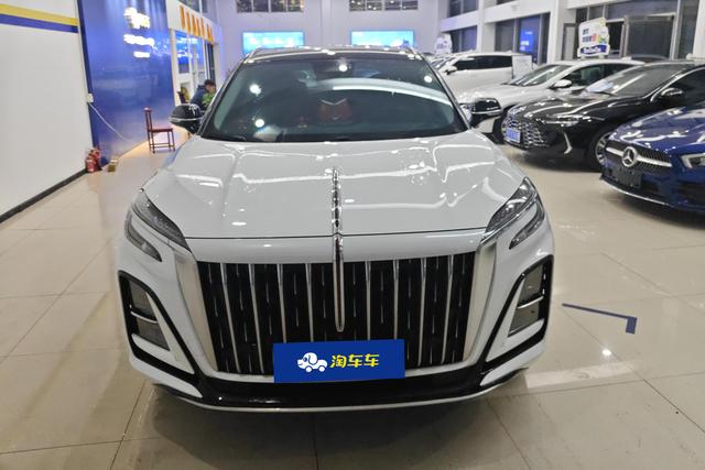 HongQi HS3 2023 immagine di auto #4