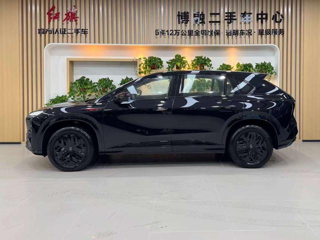 HongQi TianGong 08 car image #4