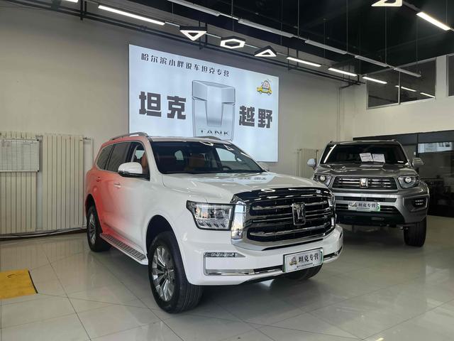 Tank 500 2024 car image #4