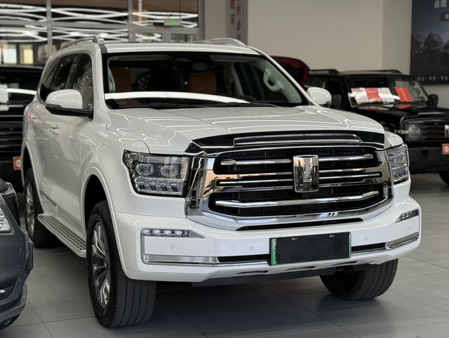 Tank 500 2024 car image #4