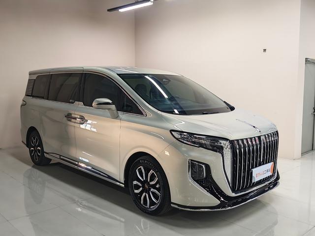 HongQi HQ9 2023 car image #4
