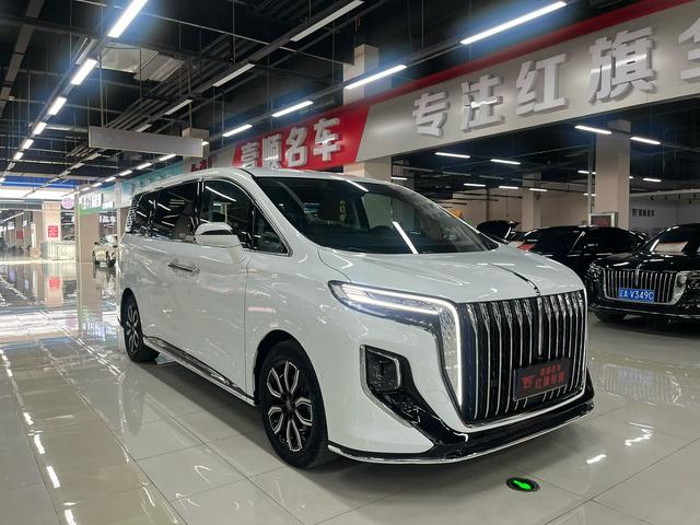 HongQi HQ9 2023 car image #4