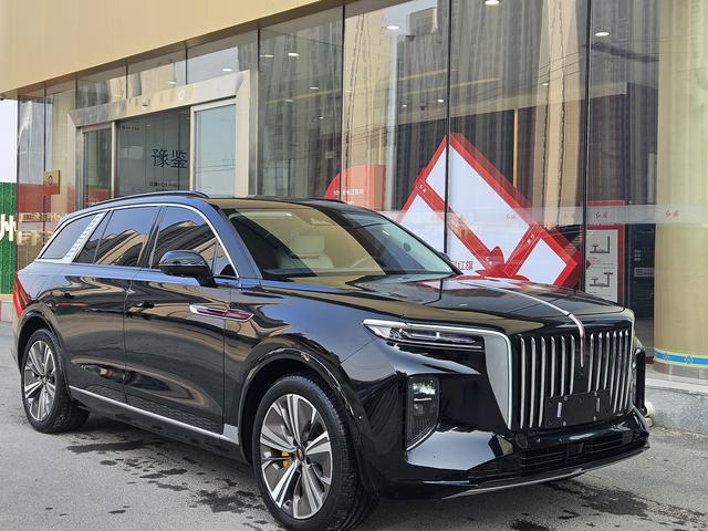 HongQi E-HS9 2022 car image #4