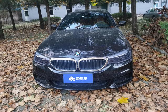 BMW 5 Series (Imported) 2019 #4 BMW 5 Series (Imported) 2019 car image #4