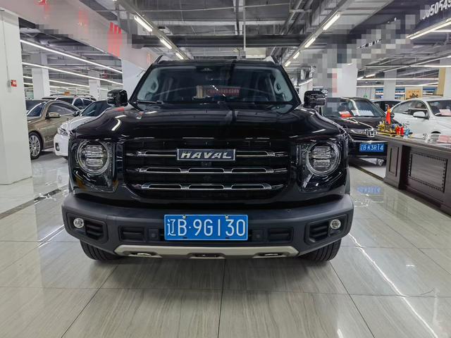 Haval X Dog / Dargo 2023 car image #4
