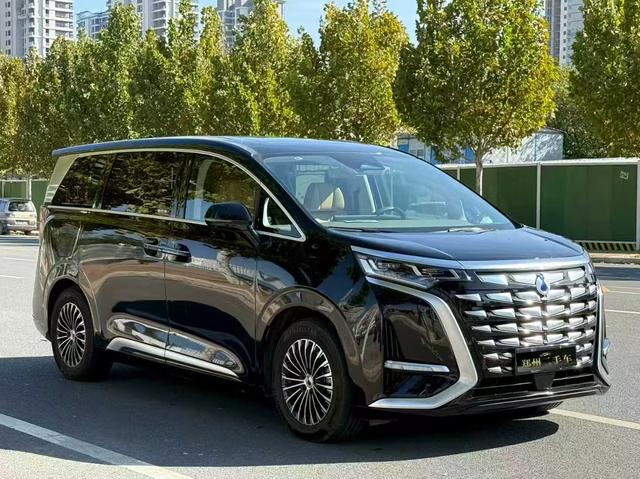 Denza X 2023 car image #4