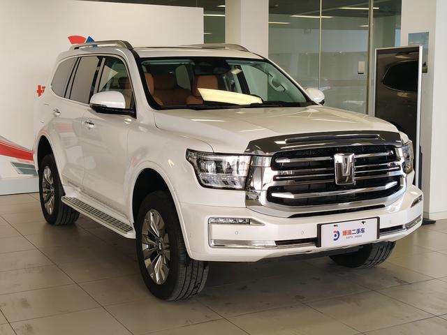 Tank 500 2024 car image #4