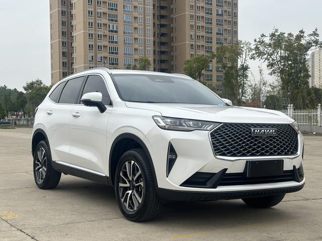 Haval H6 2022 car image #4