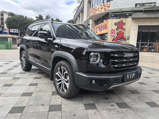 Haval X Dog / Dargo 2021 car image #4