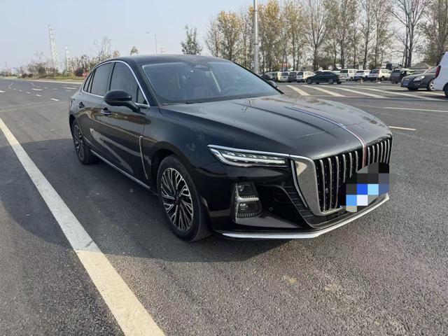 HongQi E-HS3 2025 #4 HongQi E-HS3 2025 car image #4