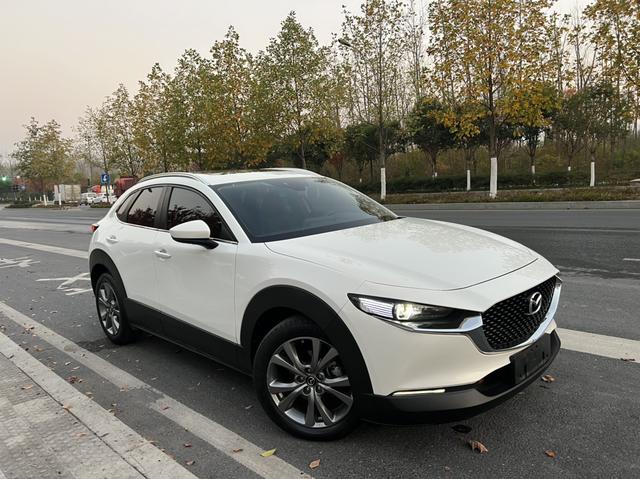 Mazda CX-30 EV 2021 image de voiture #4