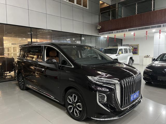 HongQi HQ9 2023 #4 HongQi HQ9 2023 car image #4