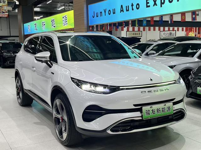 Denza X 2020 car image #4