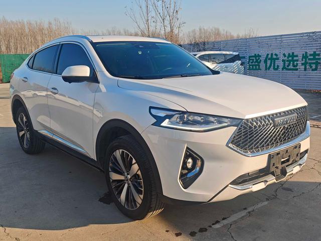 Haval F7x 2020 #4 Haval F7x 2020 car image #4