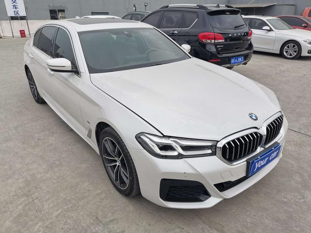 BMW 5 Series 2021 car image #4