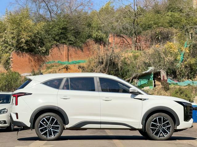 JAC X8 PLUS 2024 immagine di auto #4