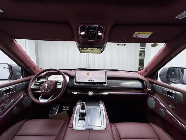 Tank 700 New Energy 2025 immagine di auto #4