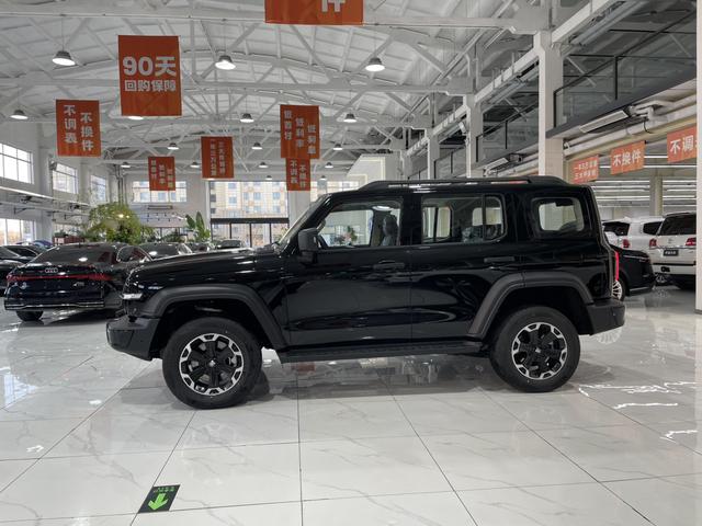 Tank 2025 car image #4