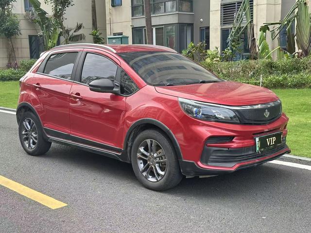 睿蓝汽车 枫叶30X 2020 汽车图片 #4