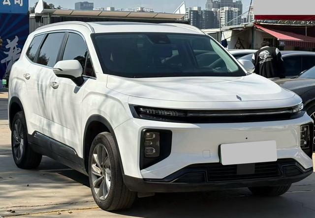 睿蓝汽车 睿蓝9 2024 汽车图片 #4