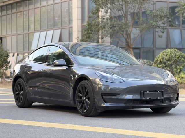 Tesla Model 3 2020 car image #4