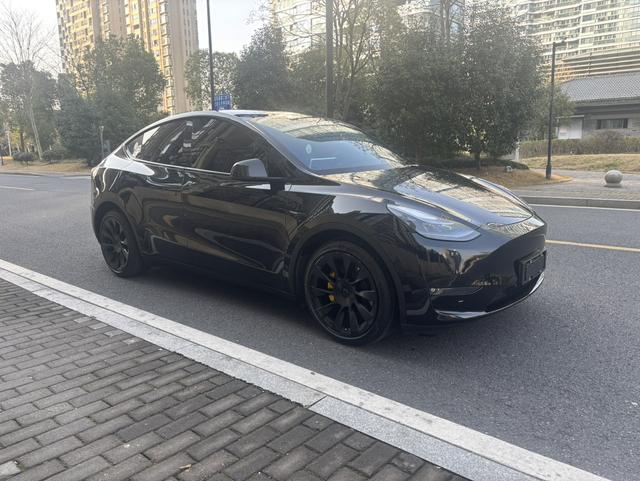 Tesla 2021 immagine di auto #4