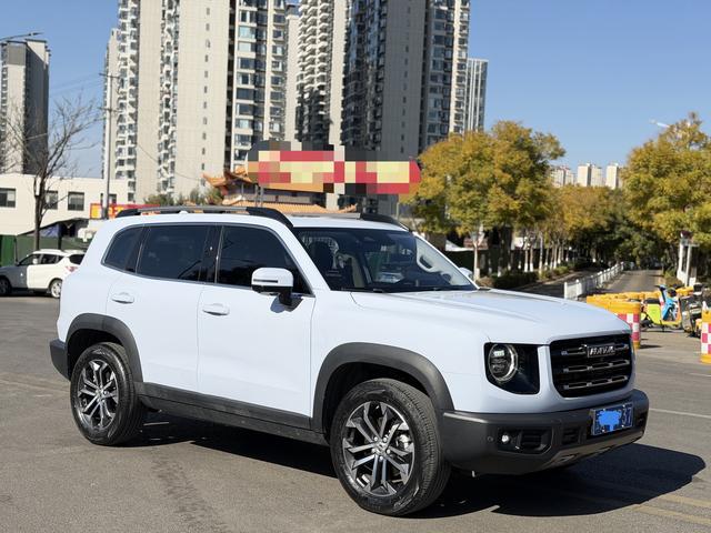 Haval X Dog / Dargo 2022 car image #4