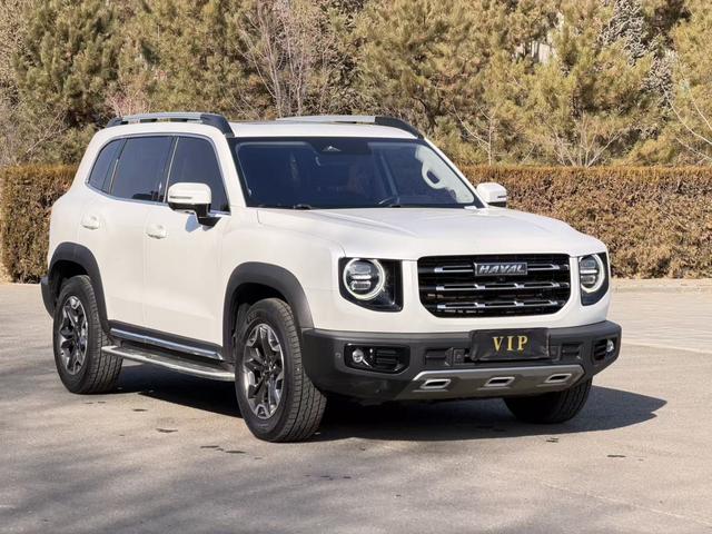 Haval X Dog / Dargo 2022 #4 Haval X Dog / Dargo 2022 car image #4