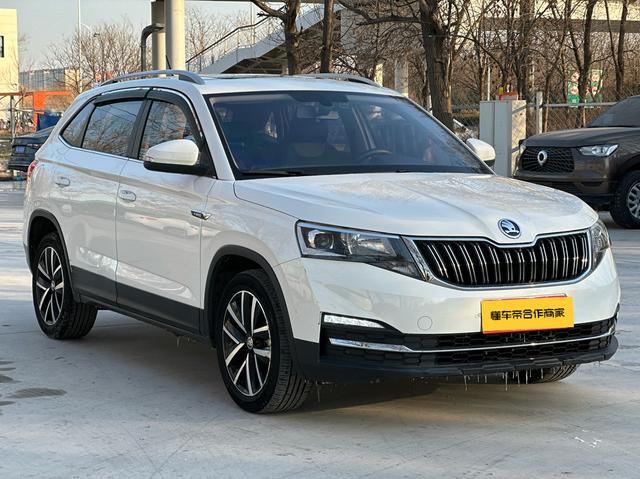 Skoda Kamiq 2020 car image #4
