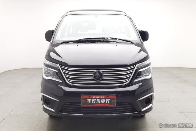 Forthing Lingzhi 2021 immagine di auto #4