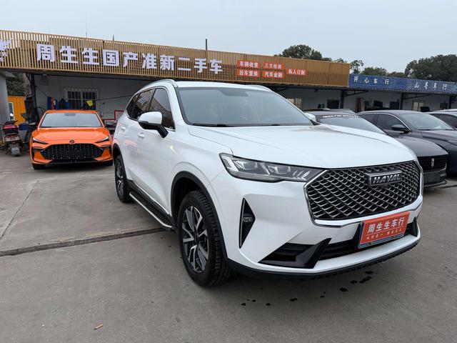 Haval 2021 immagine di auto #4