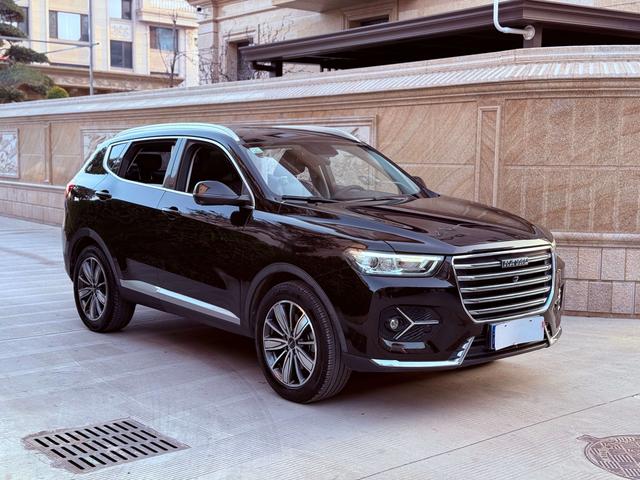 Haval H6 2020 car image #4