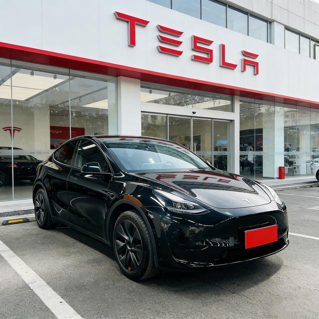 Tesla Model Y 2023 car image #4
