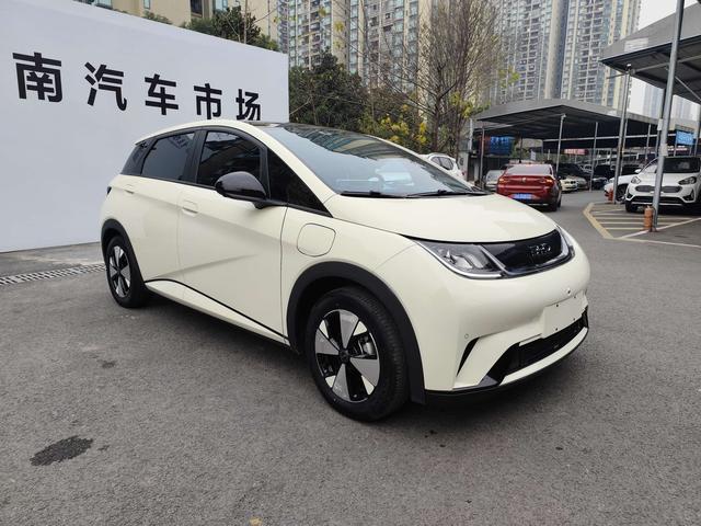 BYD Dolphin 2023 car image #4
