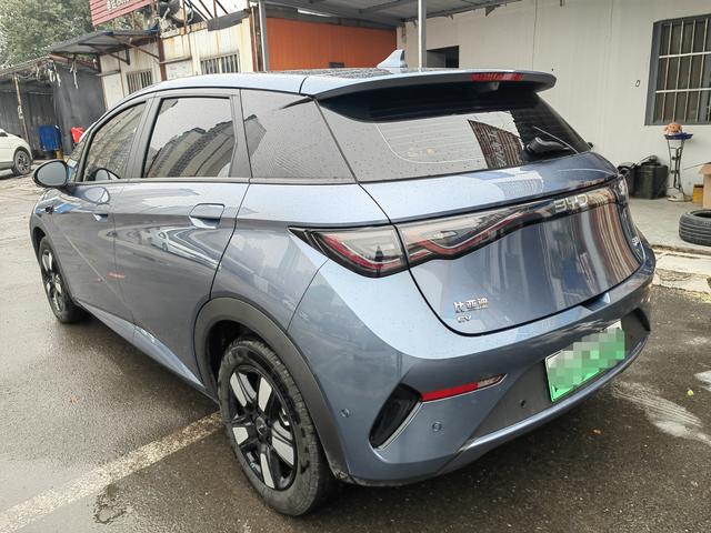 BYD Dolphin 2025 car image #4