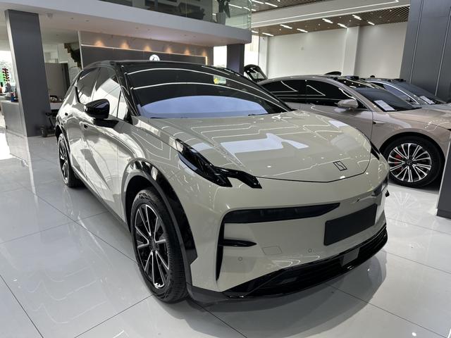 极氪 极氪X 2023 汽车图片 #4