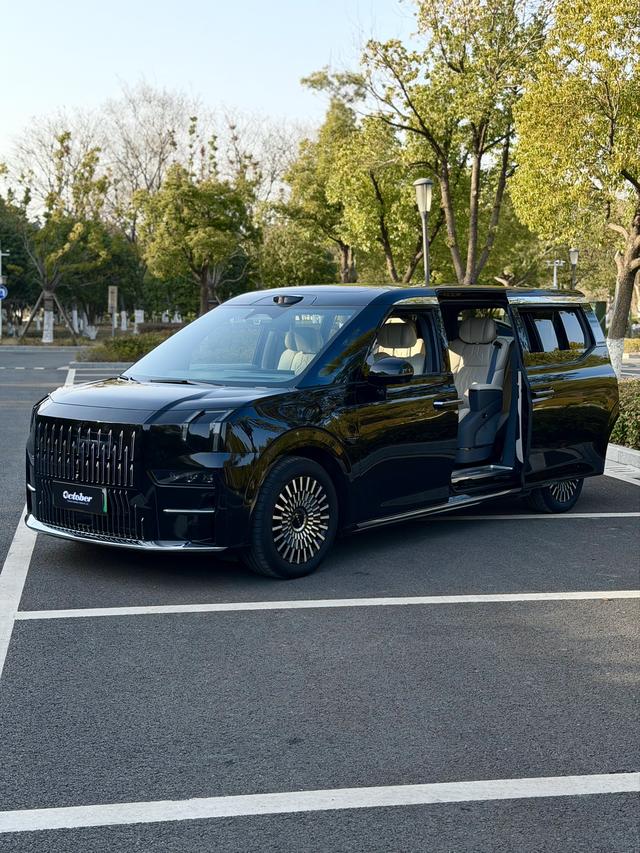 极氪 极氪009 2024 汽车图片 #4