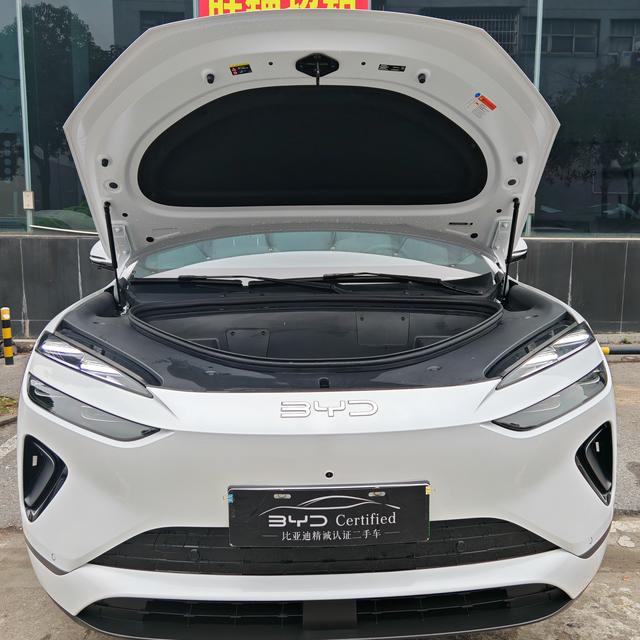 BYD Sea Lion 06 New Energy 2025 car image #4