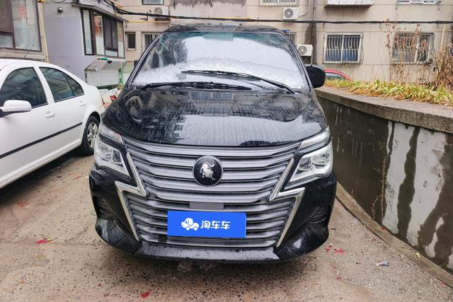 Forthing Lingzhi 2023 immagine di auto #4