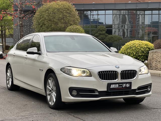 BMW 5 Series 2014 car image #4